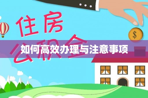 泗县如何高效办理与注意事项