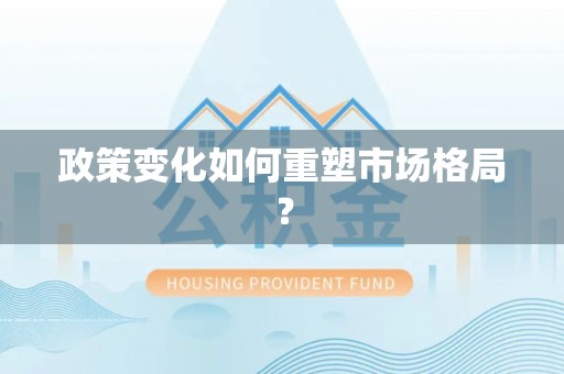 泗县政策变化如何重塑市场格局？