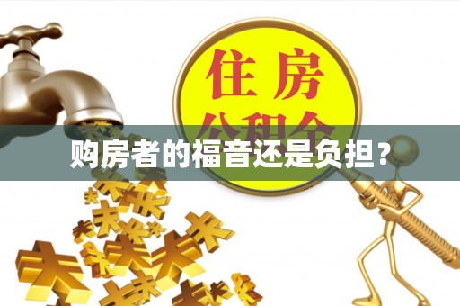 泗县购房者的福音还是负担？