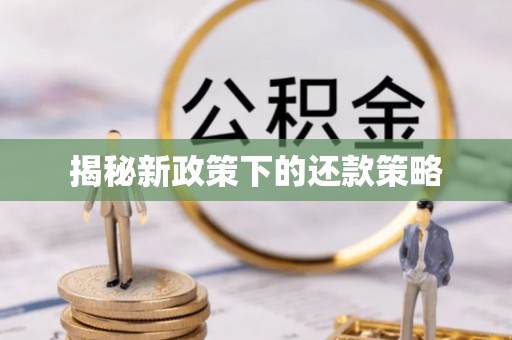 泗县揭秘新政策下的还款策略