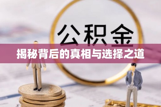 泗县揭秘背后的真相与选择之道