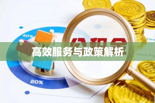 泗县高效服务与政策解析