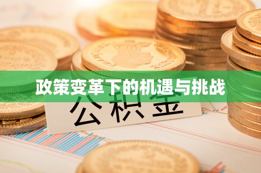 泗县政策变革下的机遇与挑战