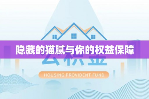 泗县隐藏的猫腻与你的权益保障