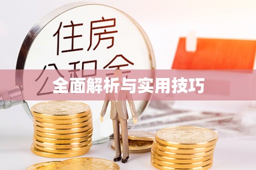 泗县全面解析与实用技巧