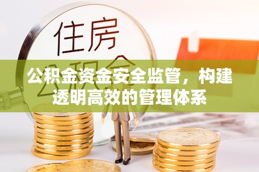 泗县公积金资金安全监管，构建透明高效的管理体系