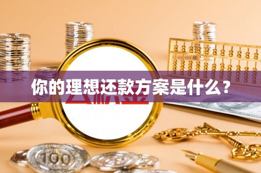 泗县你的理想还款方案是什么？