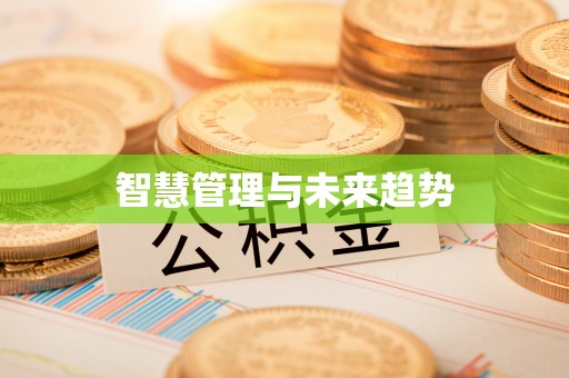 泗县智慧管理与未来趋势