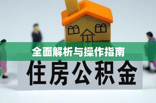 泗县全面解析与操作指南