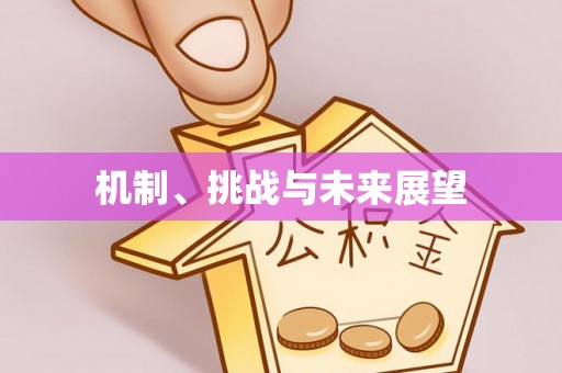 泗县机制、挑战与未来展望