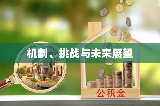 泗县机制、挑战与未来展望